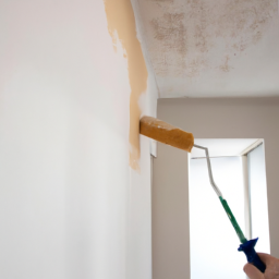 Peinture - volets : Protégez et Embellissez Vos Volets avec une Peinture de Qualité Adaptée à Leur Matériau Betton